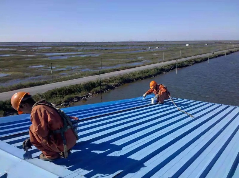 兰山彩钢瓦屋面防腐翻新